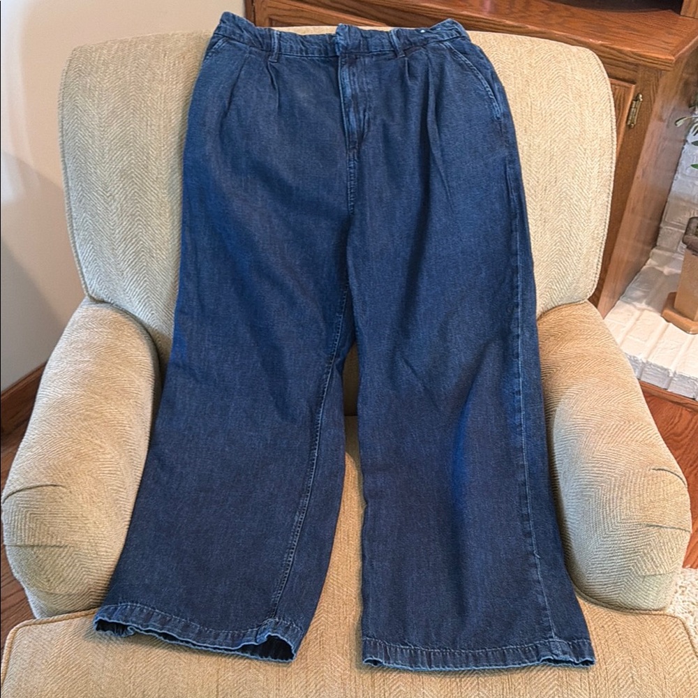 GAP Ultrasoft Denim, Pleated, 8